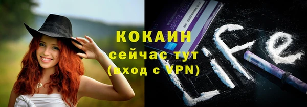 дживик Алексеевка