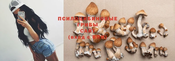 сатива Алзамай