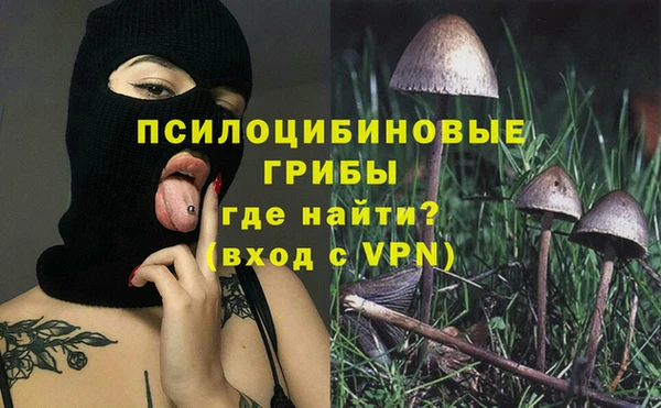 сатива Алзамай