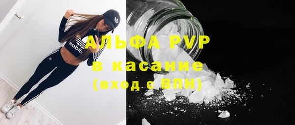 сатива Алзамай