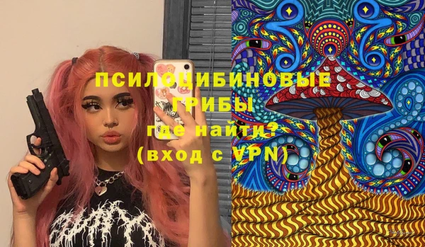 сатива Алзамай