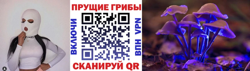 где можно купить наркотик  Нюрба  Галлюциногенные грибы мухоморы 